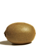 Kiwi Fruit on White Background Photographic Print by Images Monsoon