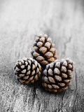 Frosted Pine Cones on Rustic Wooden Table Photographic Print by Images Monsoon