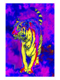 Tiger Endangered Species Reproduction procédé giclée par Rich LaPenna