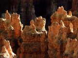 Rock Formations, Bryce Canyon National Park, Utah, USA Photographic Print by Margaret L. Jackson
