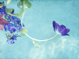 Flower Bouquet Floating in Water Photographic Print by April Bauknight
