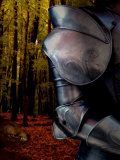 The Fox Hunts the Knight in Armor in the Forest Photographic Print by Images Monsoon