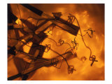 Abstract Image in Brown and Orange Giclee Print by Daniel Root