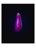 Eggplant on Dark Background Giclee Print by Images Monsoon