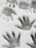 Children's Handprints in a Spring Snow Photographic Print by Images Monsoon