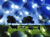 Bubble Pasture, Bergisch Land, Germany Photographic Print by Images Monsoon