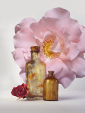 Still Life of Bottles and Roses Photographic Print by Images Monsoon