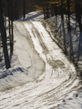 Wet Road Reflecting Sunshine Photographic Print by John Churchman