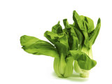 Shanghai Bok Choy on White Background Photographic Print by Tina Chang