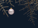 Ice on Branches Fotografie-Druck von Eric Gottschalk