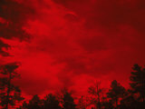 Tree Silhouettes Against a Red Sky Photographic Print by Images Monsoon
