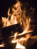 Fire and Wood Photographic Print by Daniel Root