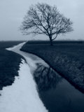Landscape Photograph, a Winter Scenery in Spanbroek, the Netherlands Photographic Print by Images Monsoon