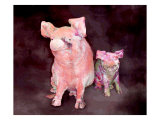 Pig and Piglet Statues Giclee Print by Images Monsoon
