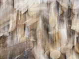 Double Exposure of a Wood Pile Photographic Print by John Churchman