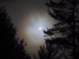 Moon with Branches at Night, Essex, Vermont Photographic Print by Images Monsoon