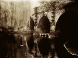 Weeping Willow Beside a River, Oxford Photographic Print by Images Monsoon