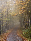 Rural Road in Autumn at Dawn, Vermont Photographic Print by John Churchman
