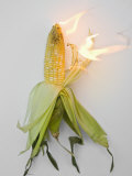 Corn on Fire Photographic Print by John Churchman