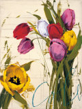 Bouquet of Tulips I Posters by Antonio Massa