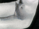 Drawing of Female Nude Torso and Legs Photographie par Images Monsoon