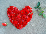 Rose Pierces Heart of Roses on Sandy Backdrop Photographic Print by Images Monsoon