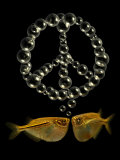 Two Tetra Fish Blowing Peace Symbol Shaped Bubbles Photographie par Abdul Kadir Audah