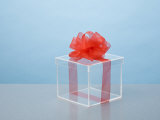 Clear Box with Red Ribbon and Bow Photographic Print by Laura Johansen