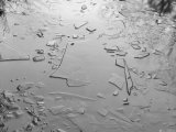 Ice from Frozen Lake Photographic Print by Rob Lang