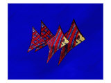 Couple of Angel Fish Giclee Print by Rich LaPenna
