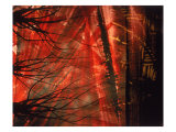 Abstract Image in Red and Black Giclee Print by Daniel Root