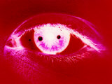 Ojos rojos Lámina fotográfica por Images Monsoon