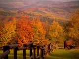 Autumn Scenery with Horses Grazing and Corral, Germany Photographie par Abdul Kadir Audah