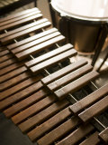 Wood Instrument Xylophone Photographic Print by Images Monsoon