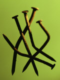 Five Rusty Nails Against a Green Background Photographie par John Manno