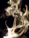 Fire and Wood Photographic Print by Daniel Root