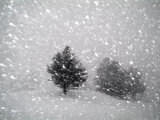 Sudden Snow Flurry Photographic Print by Images Monsoon