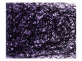 Abstract Image in Black and Purple Giclee Print by Daniel Root