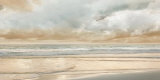 Ocean Tide Kunst van John Seba
