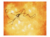 Abstract Image in Yellow and Red Lámina giclée por Images Monsoon Abstract Image in Yellow and Red Lámina giclée por Images Monsoon