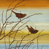Morning Song I Affiches par Chris Donovan
