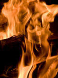 Fire and Wood Photographie par Daniel Root
