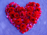 Roses Form Heart Shape on Blue Background Photographie par Images Monsoon