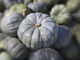 Squash Photographic Print by Diane Miller