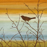 Morning Song II Pôsters por Chris Donovan Morning Song II Pôsters por Chris Donovan