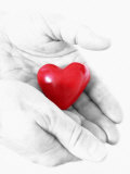 Holding Heart in Hands Photographic Print by Abdul Kadir Audah