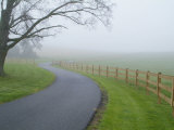 Misty Driveway Photographic Print by John Churchman