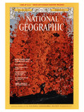 Cover of the March, 1975 Issue of National Geographic Magazine Lámina fotográfica por Robert Madden