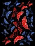 Butterfly Backgrounds Pattern Photographic Print by Claire Morgan