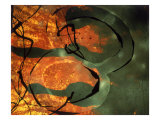 Abstract Image in Yellow, Black, and Red Giclee Print by Daniel Root